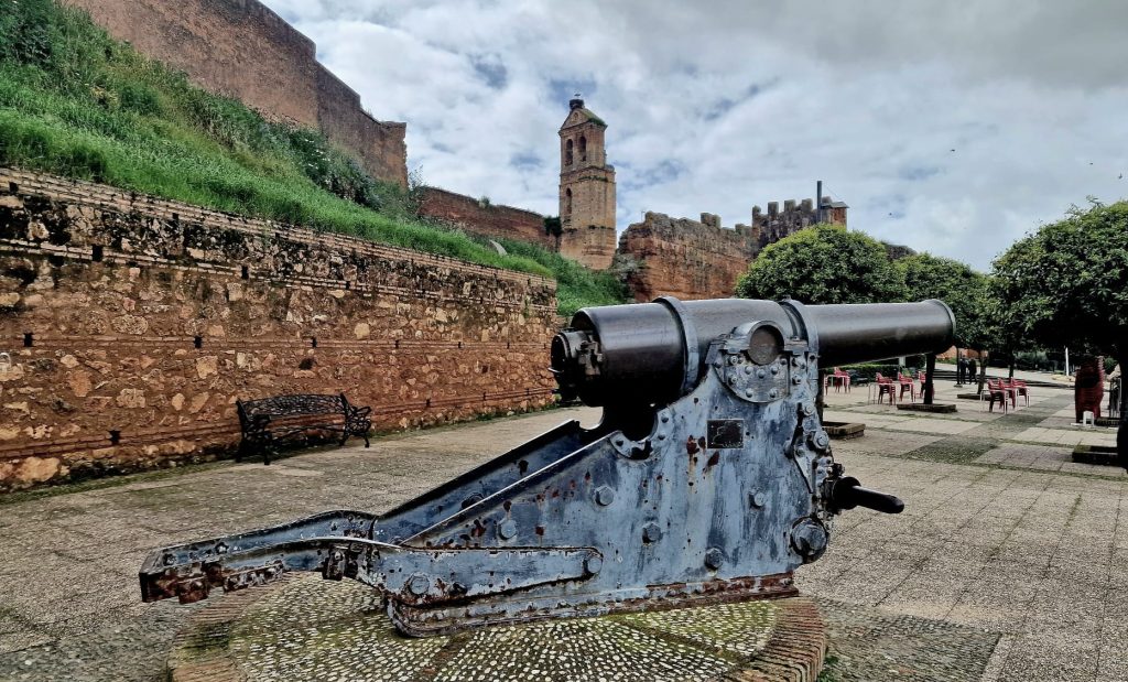 WhatsApp Image 2025 08 22 at 14.52.51 1