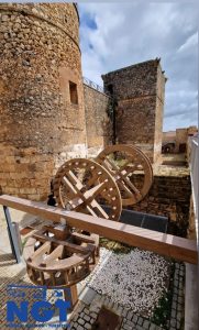 WhatsApp Image 2025-08-22 at 14.52.53 (1)