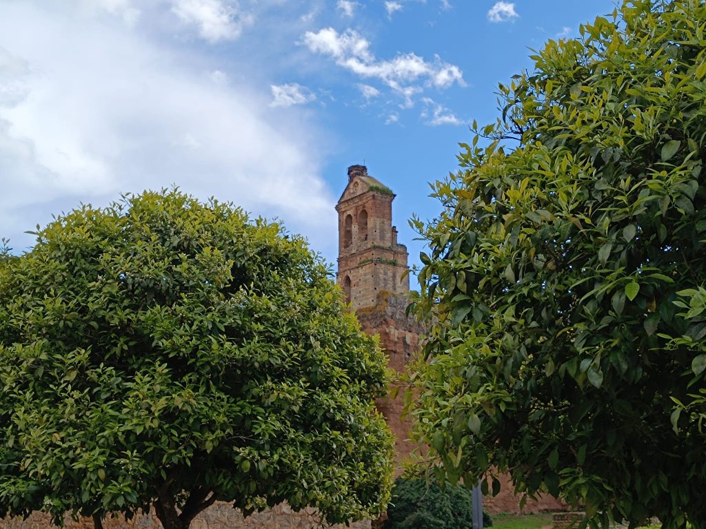 WhatsApp Image 2025 08 22 at 14.52.54 1